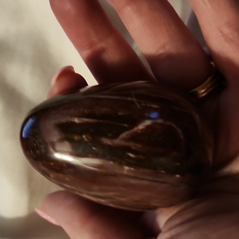 Petrified wood egg - Picture 3 of 3